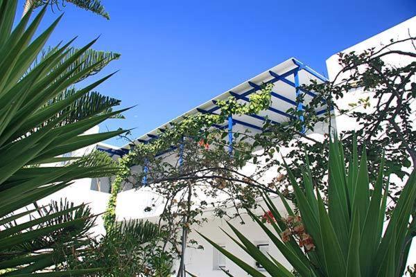 Loukia Apartments & Studios Науса Экстерьер фото